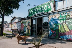 Clínica veterinaria The Kiltros Pet