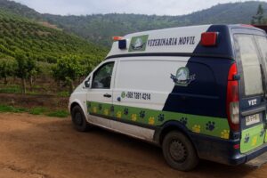 Clínica Veterinaria Vet Help