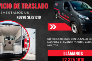 Clínica Veterinaria VetsRockers