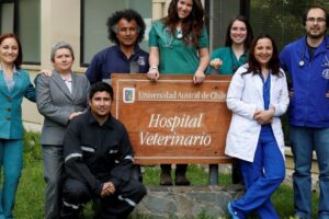 Clínica Veterinaria Villapatitas SpA