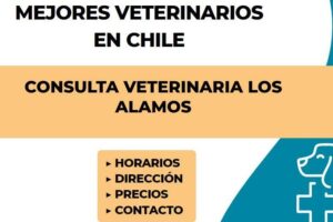Consulta veterinaria Los Alamos