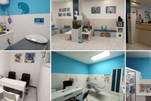 Consultorio Veterinario