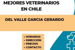 Del Valle Garcia Gerardo