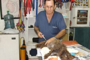 Dogtor Leo – Clinica Veterinaria