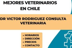 Dr Victor Rodriguez Consulta Veterinaria