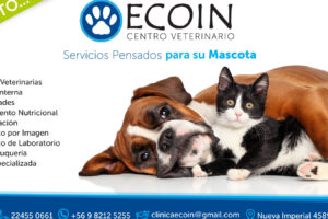 Ecoin Clinica Veterinaria