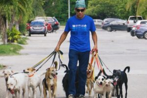 El Señor de las Mascotas