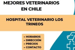 Hospital Veterinario Los Trineos