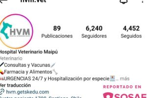 Hospital veterinario maipu, HVM