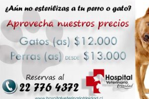 Hospital Veterinario Trinidad