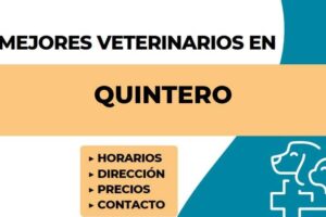 MedPharma Clínica y Farmacia Veterinaria