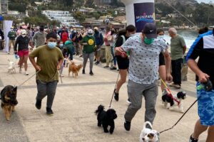 Mundo Mascotas Papudo