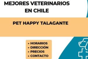 Pet Happy Talagante