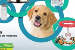 Policlínico Veterinario La Cisterna