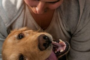 Urgencia veterinaria 24 horas Y Hospital Clínico Puppy Vets maipú