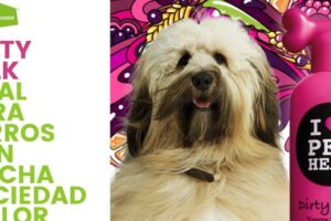 VALPETS CLINICA VETERINARIA PETSHOP Y PELUQUERIA