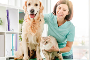 Vet & Pets Consulta Veterinaria