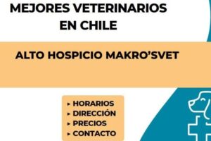 Veterinaria Alto Hospicio Makro’sVet