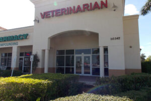 Veterinaria Animal Wellness
