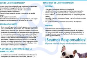 Veterinaria Antares (Peñalolen)