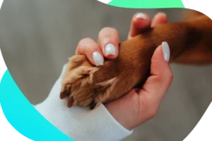 Veterinaria Baracaldo María Pinto