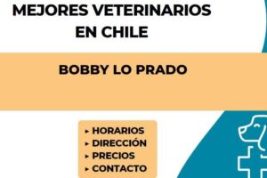 Veterinaria Bobby Lo Prado