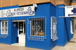 Veterinaria Cartagena