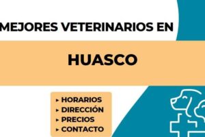 Veterinaria Clara Estrella, Vargasvet