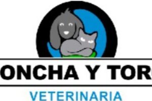 Veterinaria Concha Y Toro