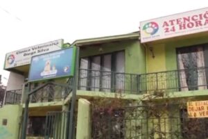 Veterinaria Diego Silva