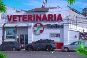Veterinaria el Rodeo
