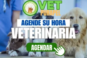 Veterinaria Julio Vrancken
