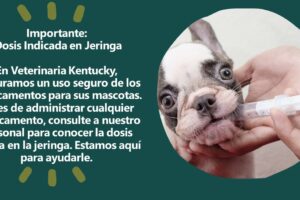 Veterinaria Kentucky – La Granja