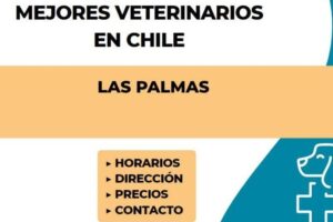 Veterinaria La Palmilla