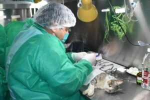 Veterinaria Mascotas Kuky