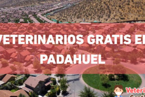 Veterinaria Municipal de Pudahuel