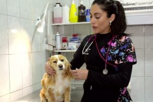 Veterinaria Portal Mayor