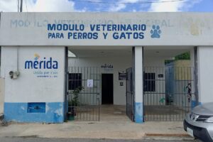 Veterinaria Premium Pet’s Conchali