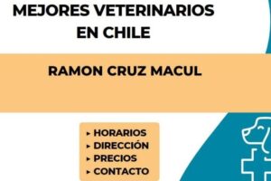 VETERINARIA RAMON CRUZ Macul
