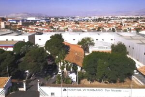 Veterinaria San Vicente