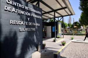 Veterinaria Territorio Animal Quilicura