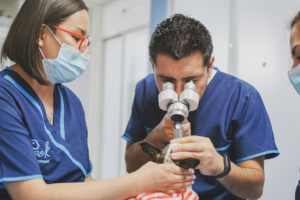 Veterinaria UniverZoo