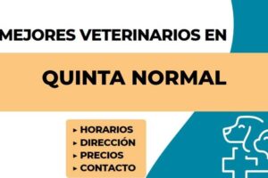Veterinaria Vet Friendly Quinta Normal