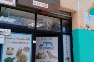 Veterinaria y Peluqueria PetWild