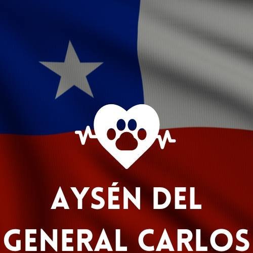 mejores veterinarias en Región de Aysén del General Carlos Ibáñez del Campo Chile