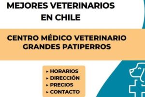 Centro Médico Veterinario Grandes Patiperros