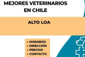 Clinica Veterinaria Alto Loa