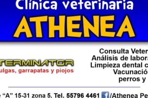 Clínica Veterinaria Atenas