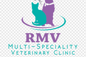 Clinica Veterinaria Avansavet