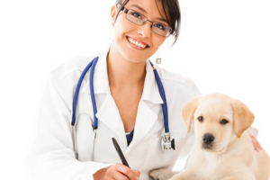 Clínica Veterinaria Doctora Mascotas